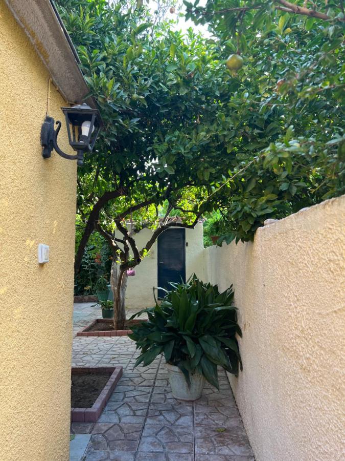 Cosy Guesthouse-Souterrain With Garden In City Center Corinth Zewnętrze zdjęcie